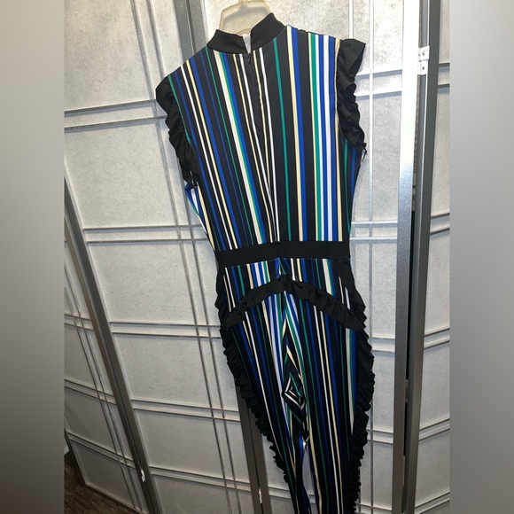 Multi Colored/ Ruffle Stripe Jumpsuit - Picture 4 of 4